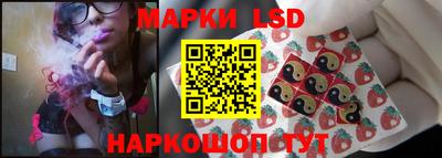 альфа пвп Новодвинск