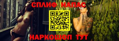 стаф Новокубанск