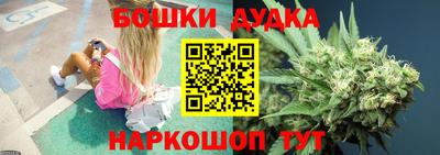 стаф Новокубанск