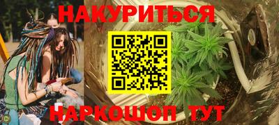 альфа пвп Новодвинск