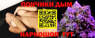 альфа пвп Новодвинск